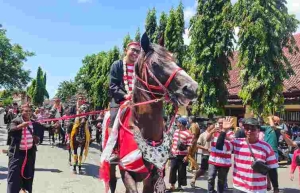 Bupati Fauzi Ajak Pemilik Jaran Serek Berkreasi Kembangkan Warisan Budaya Lokal