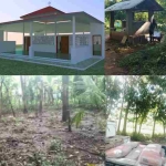 Redaksi Media Detikzone.id Tanpa Henti Tebar Kebaikan