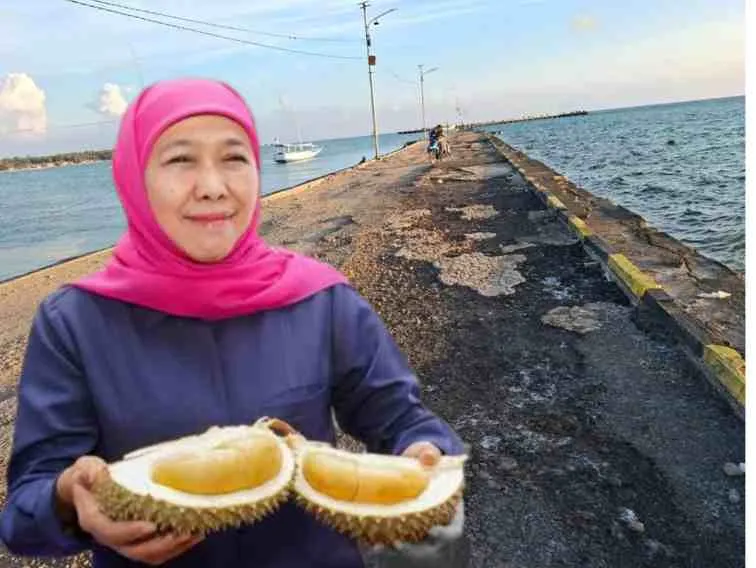 KOLASE FOTO. Gubernur Jawa Timur Khofifah Indar Parawansa pamer durian dan pelabuhan Masalembu yang rusak parah mengancam nyawa yang menjadi kewenangan Pemprov Jatim yang dibiarkan bertahun-tahun tanpa perbaikan