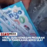 Viral, Susu Kemasan Program MBG di Pamekasan Berisi Ulat