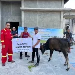 Kolaborasi SKK Migas dann KKKS Jabanusa Salurkan Hewan Qurban